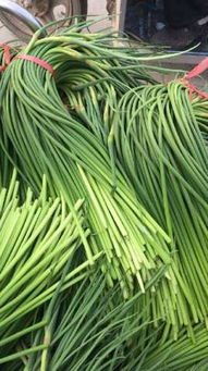 優(yōu)質(zhì)蒜薹低價(jià)熱銷，庫(kù)存清倉(cāng)搶購(gòu)中！