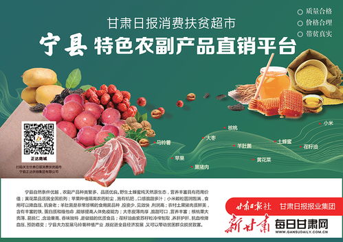 寧縣特色農(nóng)副產(chǎn)品直銷平臺(tái) 助力農(nóng)產(chǎn)品從田間到餐桌的直通橋梁